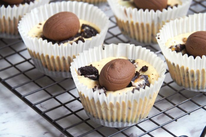 Oreo Egg Mini Cheesecakes