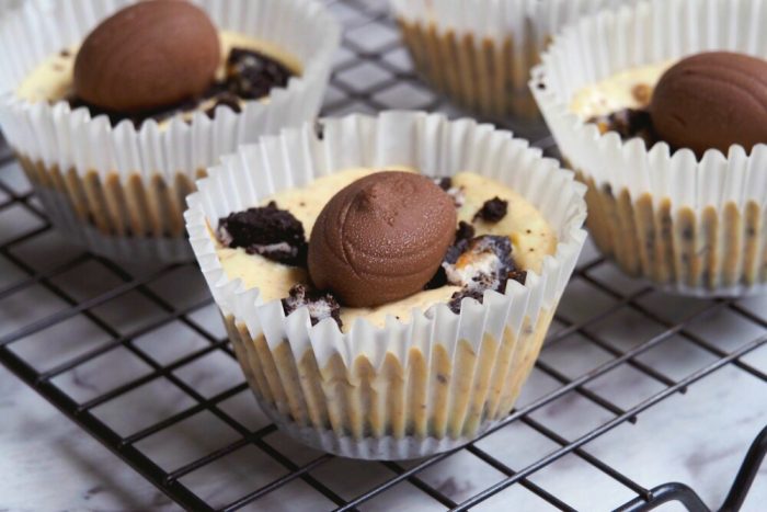 Oreo Egg Mini Cheesecakes