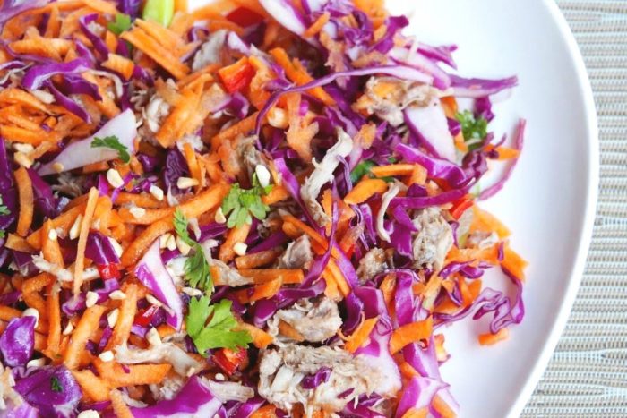 Pulled Pork Asian Salad