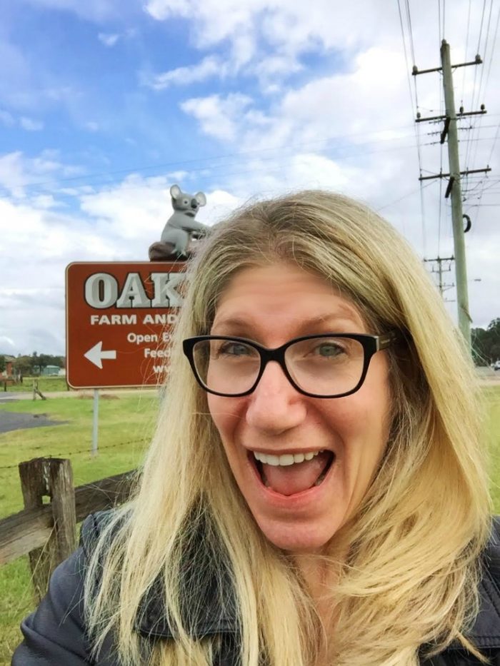 The Big Koala Oakvale Farm 