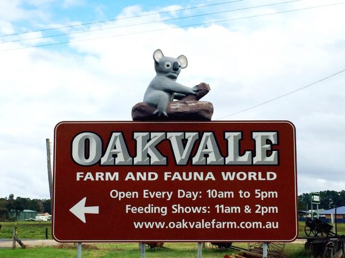 The Big Koala Oakvale Farm 