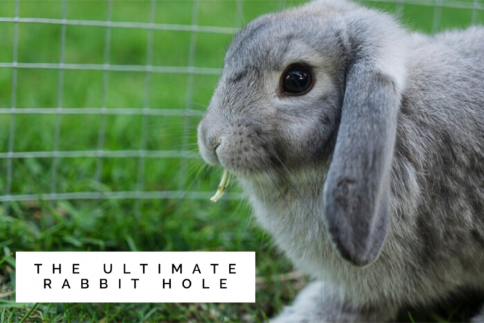 Ultimate Rabbit Hole 120