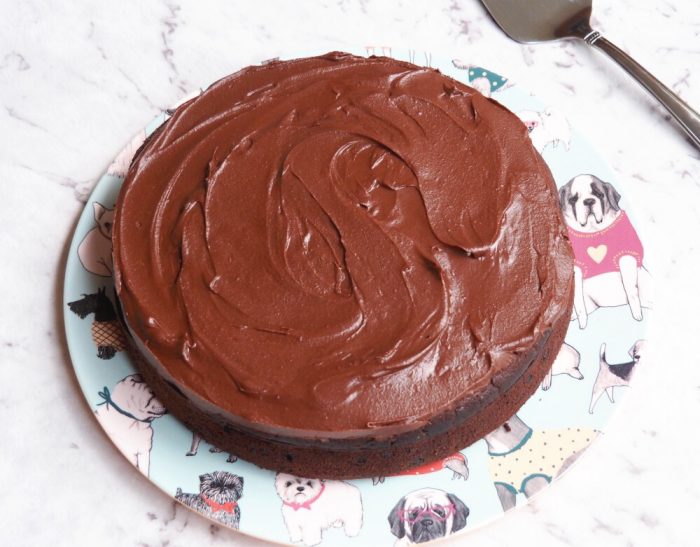 Double Choc Chip Cake with Chocolate Frosting