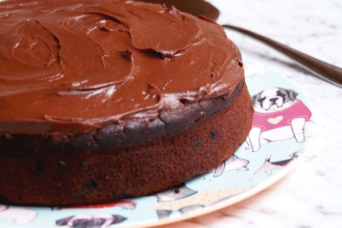Double Choc Chip Cake with Chocolate Frosting