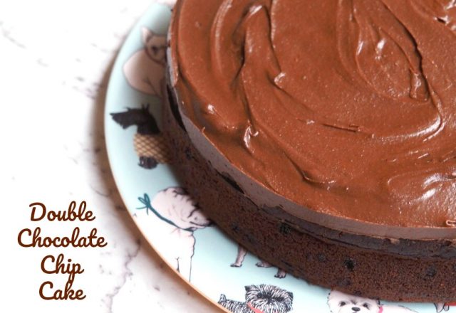 Double Chocolate Chip Cake with Chocolate Frosting