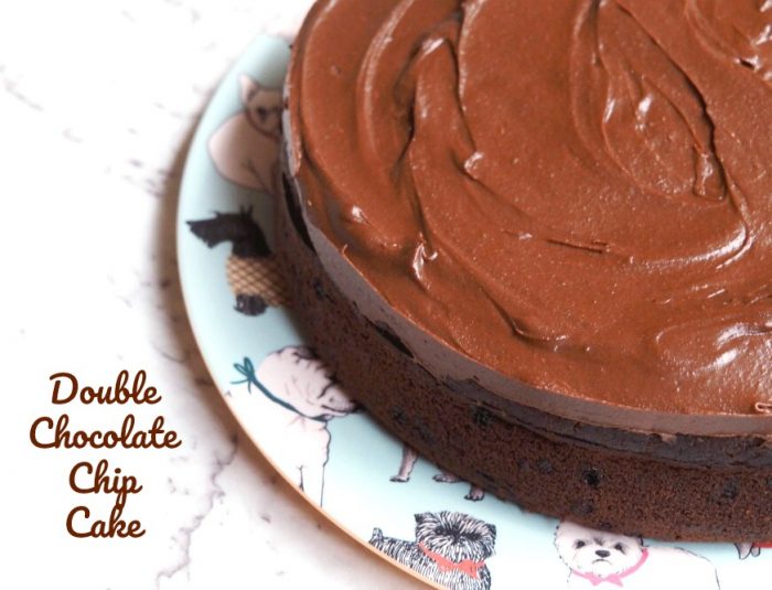 Double Choc Chip Cake with Chocolate Frosting