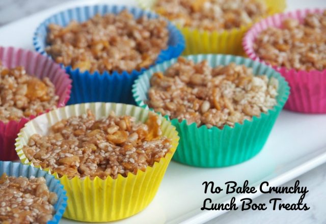 No Bake Crunchy Lunchbox Treats