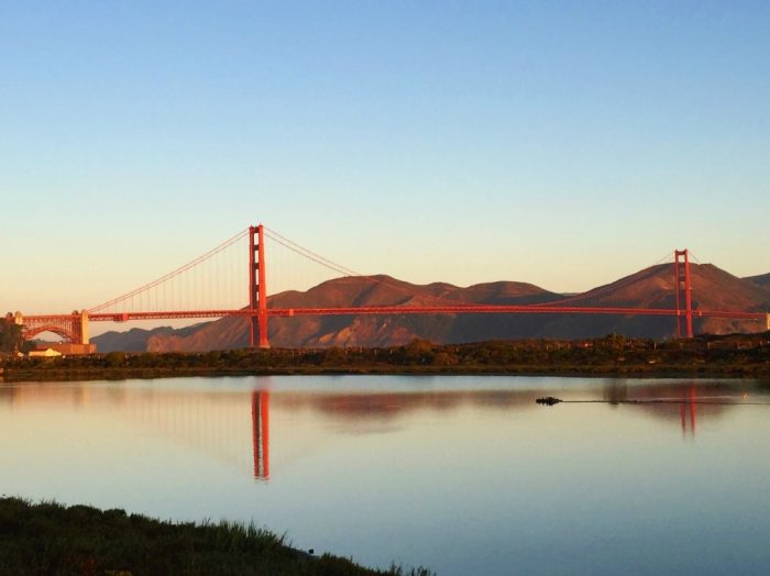 Taking stock - Crissy Field views