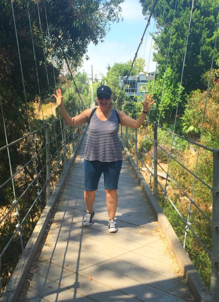 Taking stock - Spruce Street Suspension Bridge