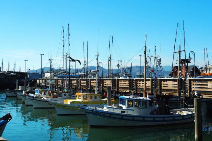 SF on Tap - Fisherman's Wharf