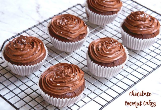 Chocolate Coconut Cakes
