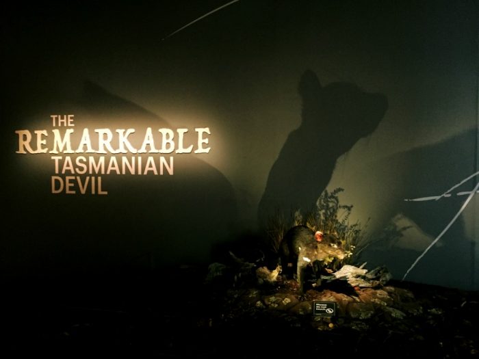 48 hours in Hobart - Tasmanian Museum