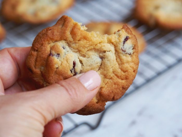 Gooey Chocolate and Cranberry Cookies 1