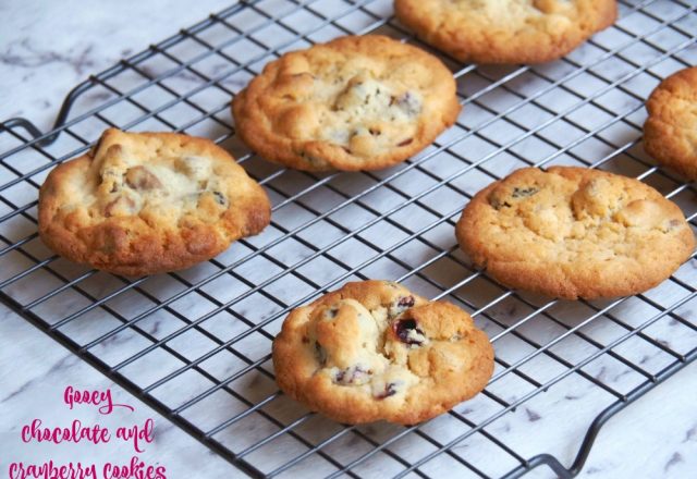 Gooey Chocolate  and Cranberry Cookies