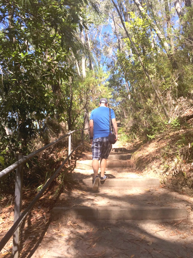 A weekend in Kangaroo Valley - Fitzroy Falls 3