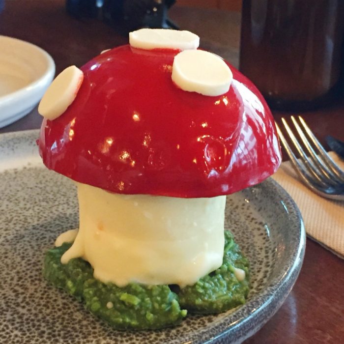 48 hours in Canberra - Space kitchen mushroom cake