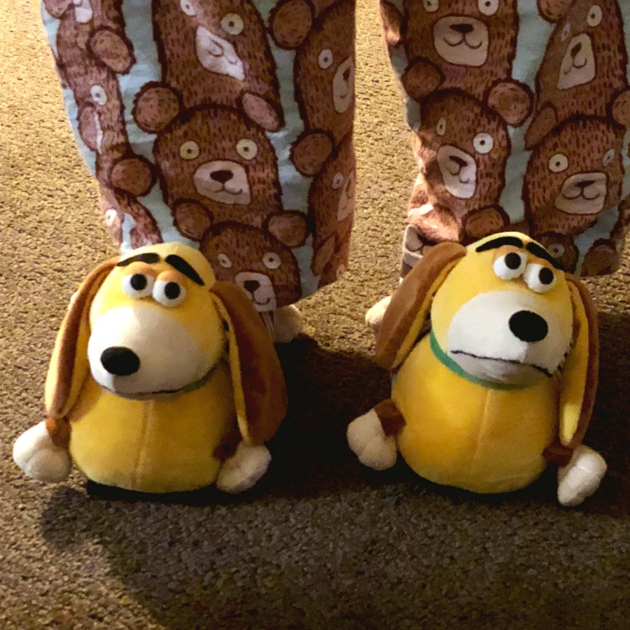 Taking stock - Slinky Dog Slippers