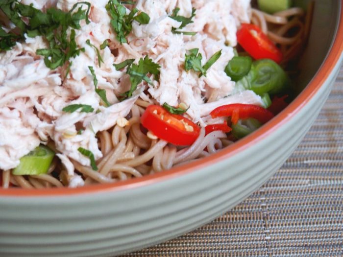 cold chicken noodle salad 3