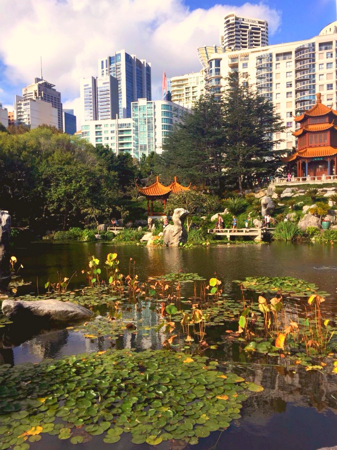Things to see and do in Sydney - Chinese Garden of Friendship