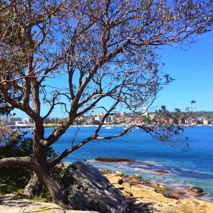 Visitors in Sydney -Spit to Manly Walk 1