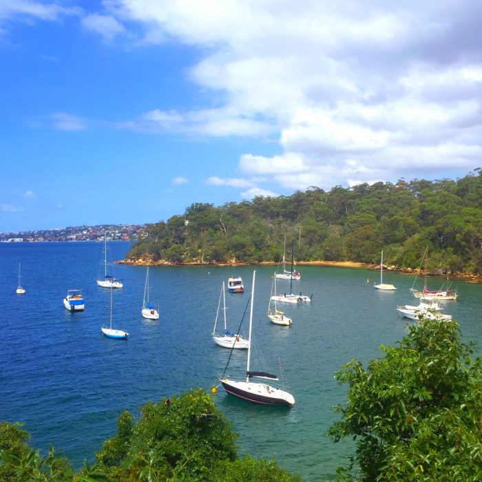 Visitors in Sydney -Spit to Manly Walk 3