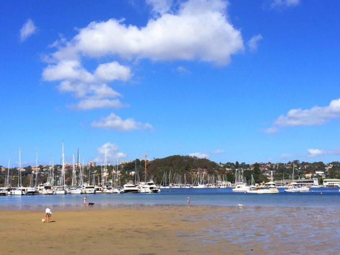 Visitors in Sydney -Spit to Manly Walk 2