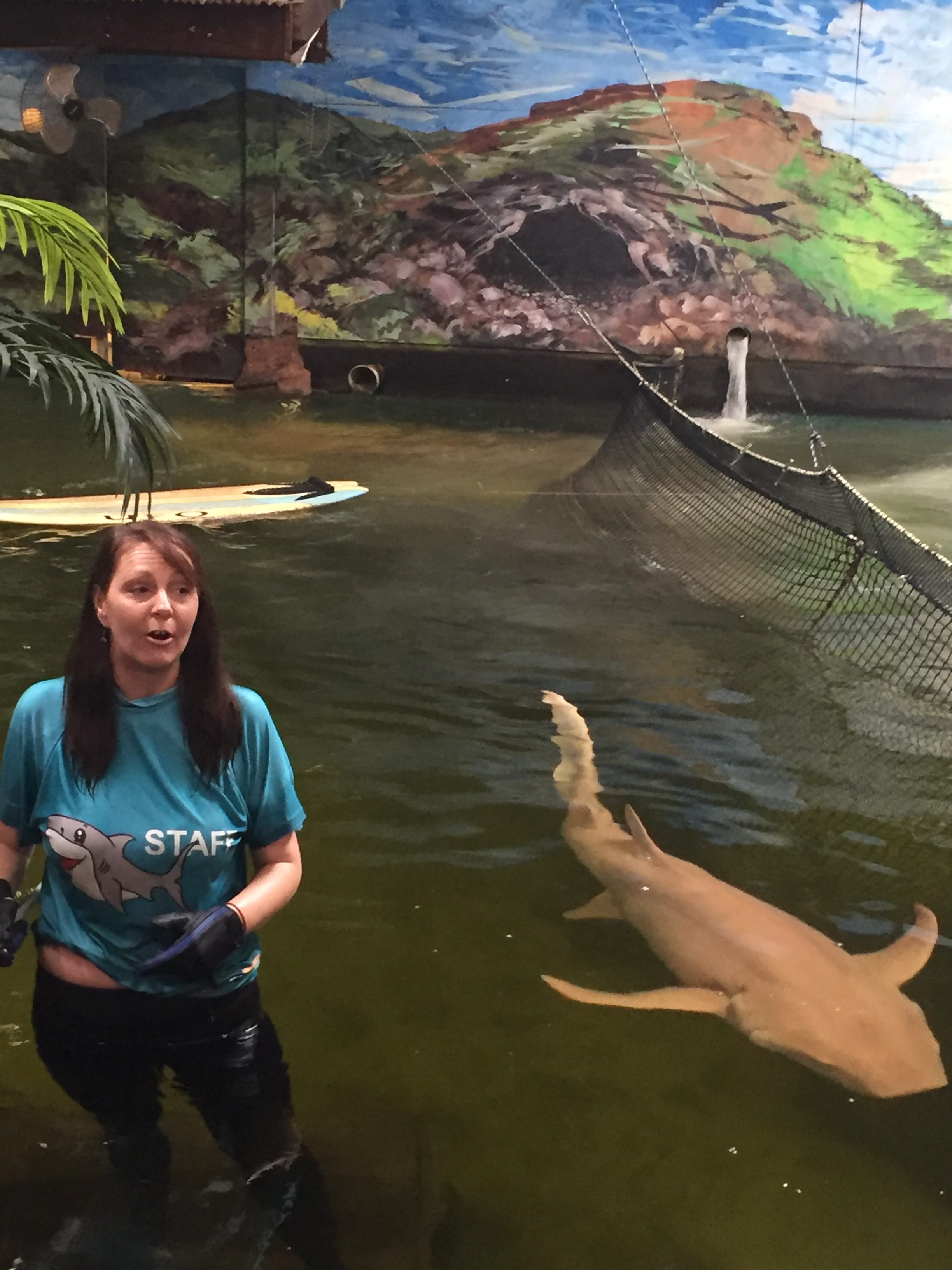 72 hours in Newcastle - Irukandji Shark and Ray Encounters 2