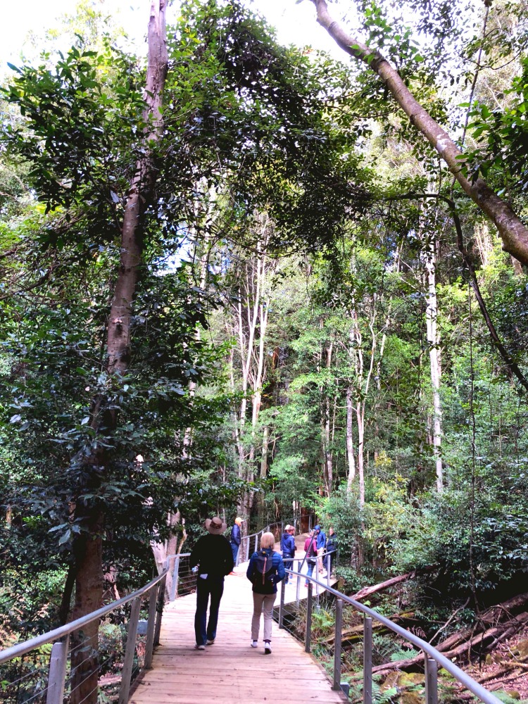 48 hours in the Blue Mountains - Scenic Walkway