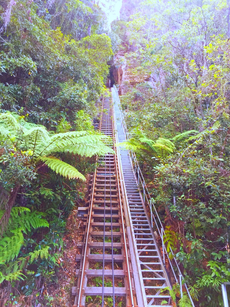 48 hours in the Blue Mountains - Scenic Railway 3