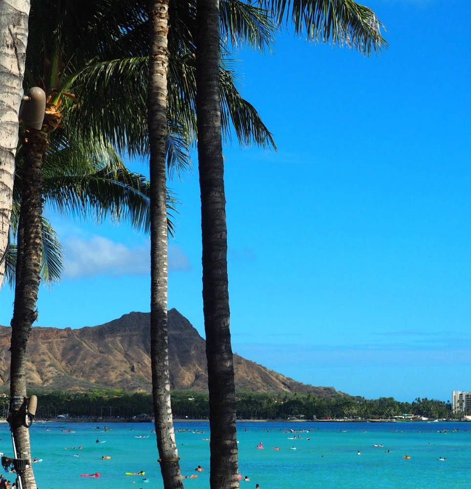 waikiki-happy-hours-Rumfire-views