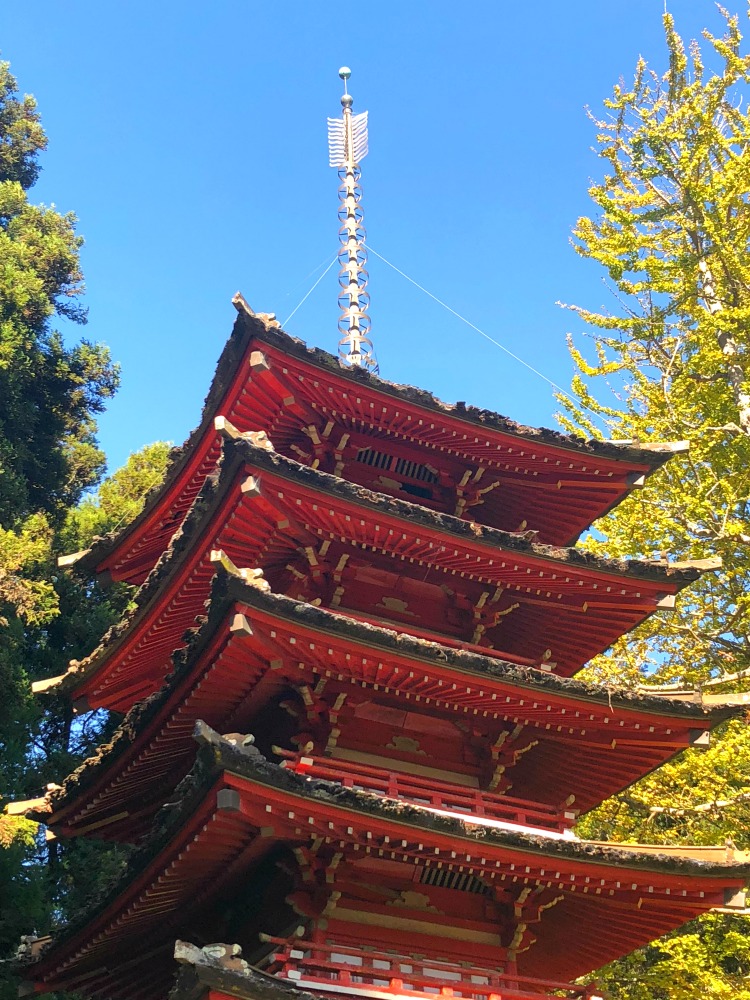 Japanese Tea Garden SF