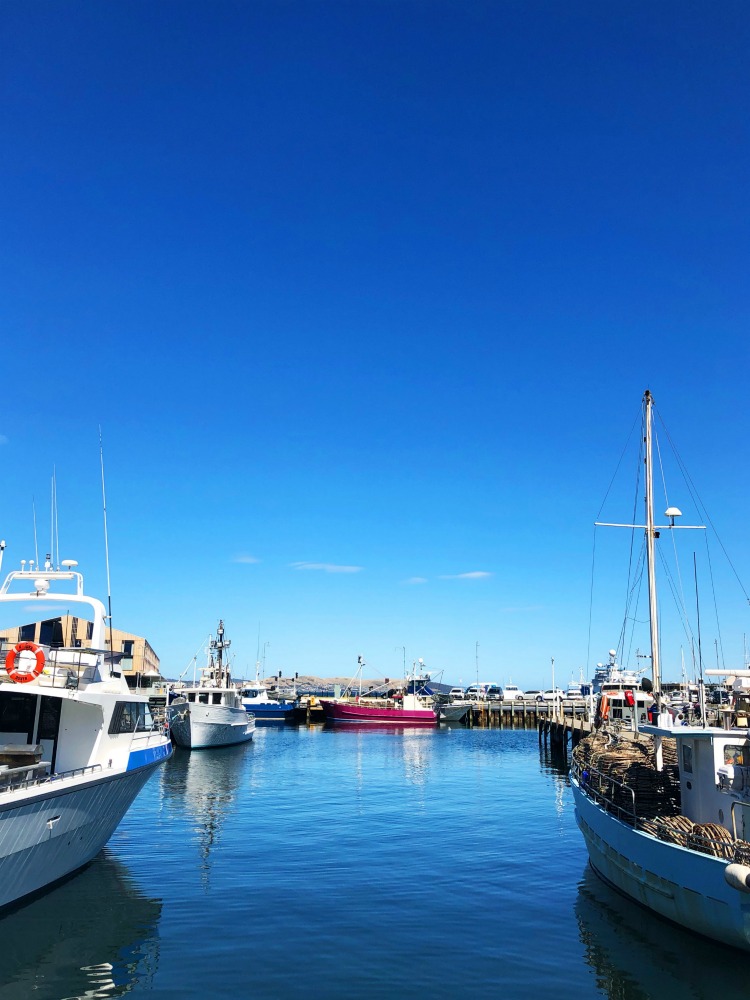 72 hours in Hobart - docks