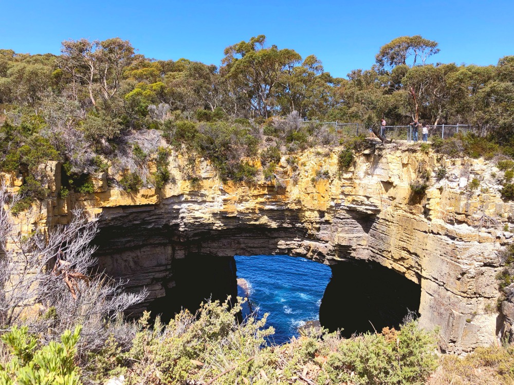 Let's Show You Tasmania Tours Tasman Arch