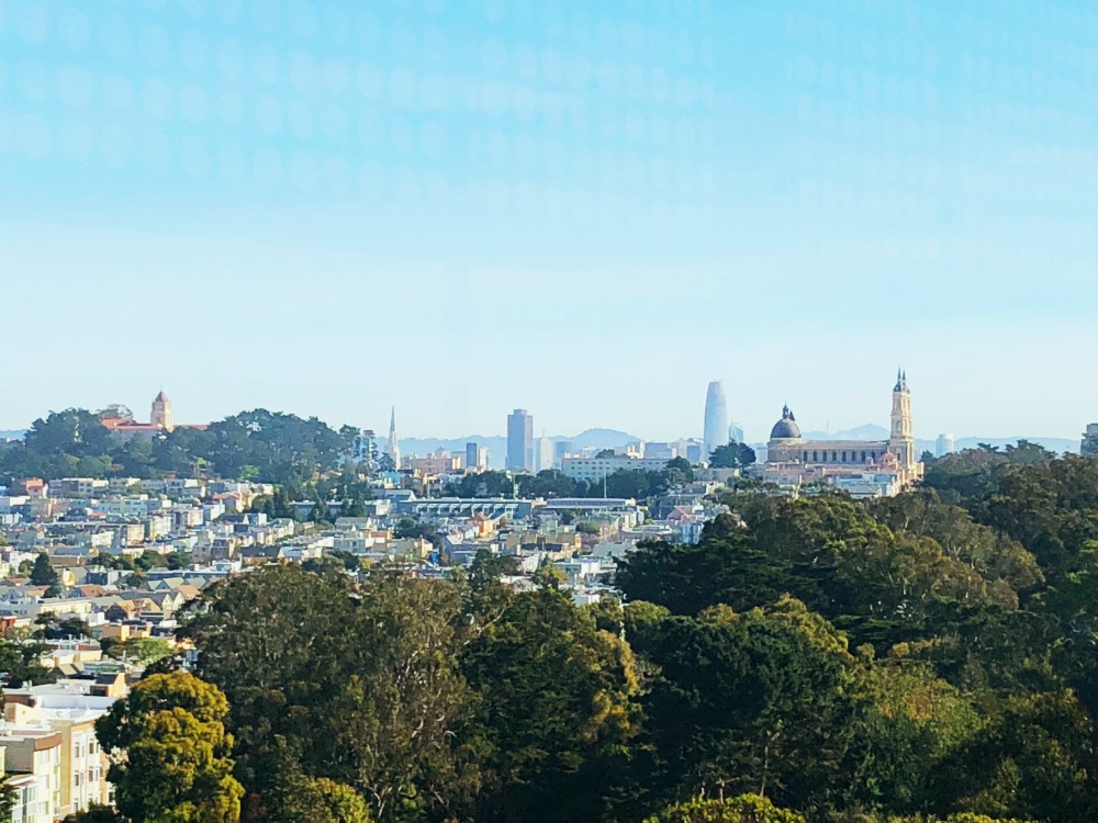 5 museums to visit in San Francisco -De Young observation tower