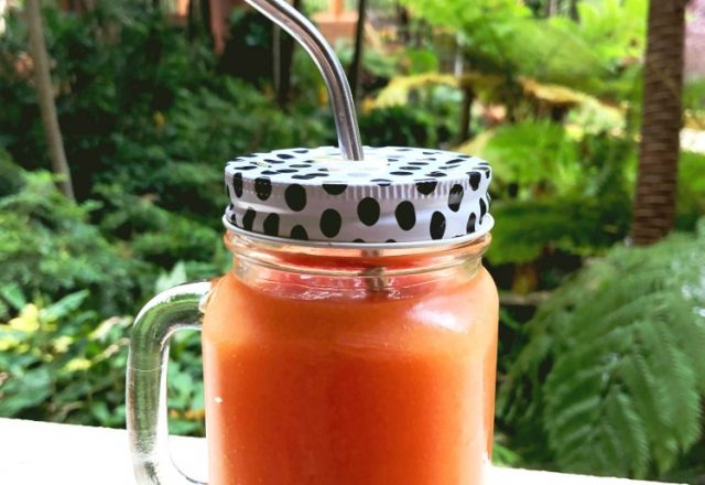 Thermomix Mango and Watermelon Juice –  ” The Refreshinator”