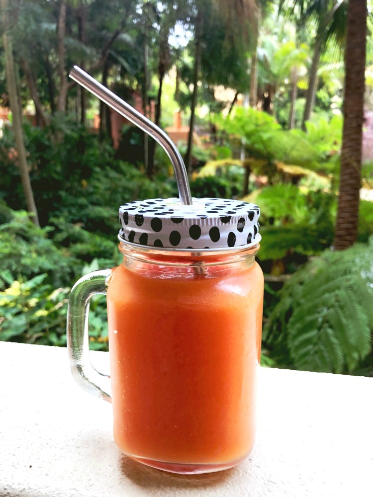 thermomix-mango-and-watermelon-refreshinator