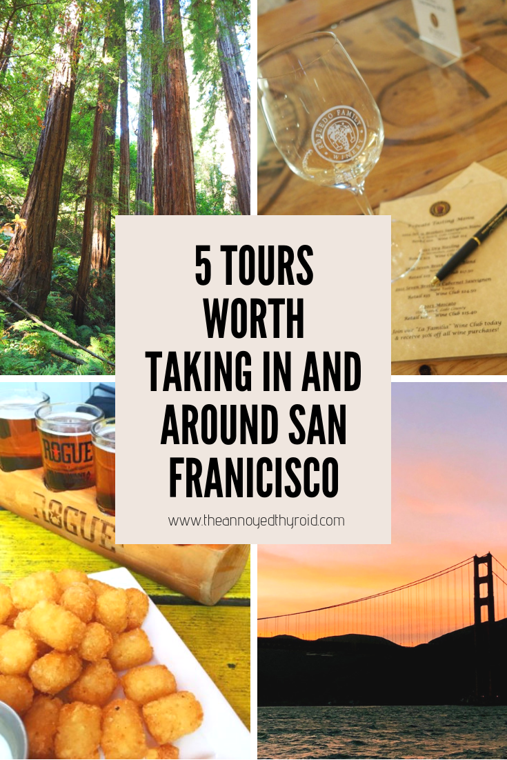 5-tours-worth-taking-in-and-around-san-francisco