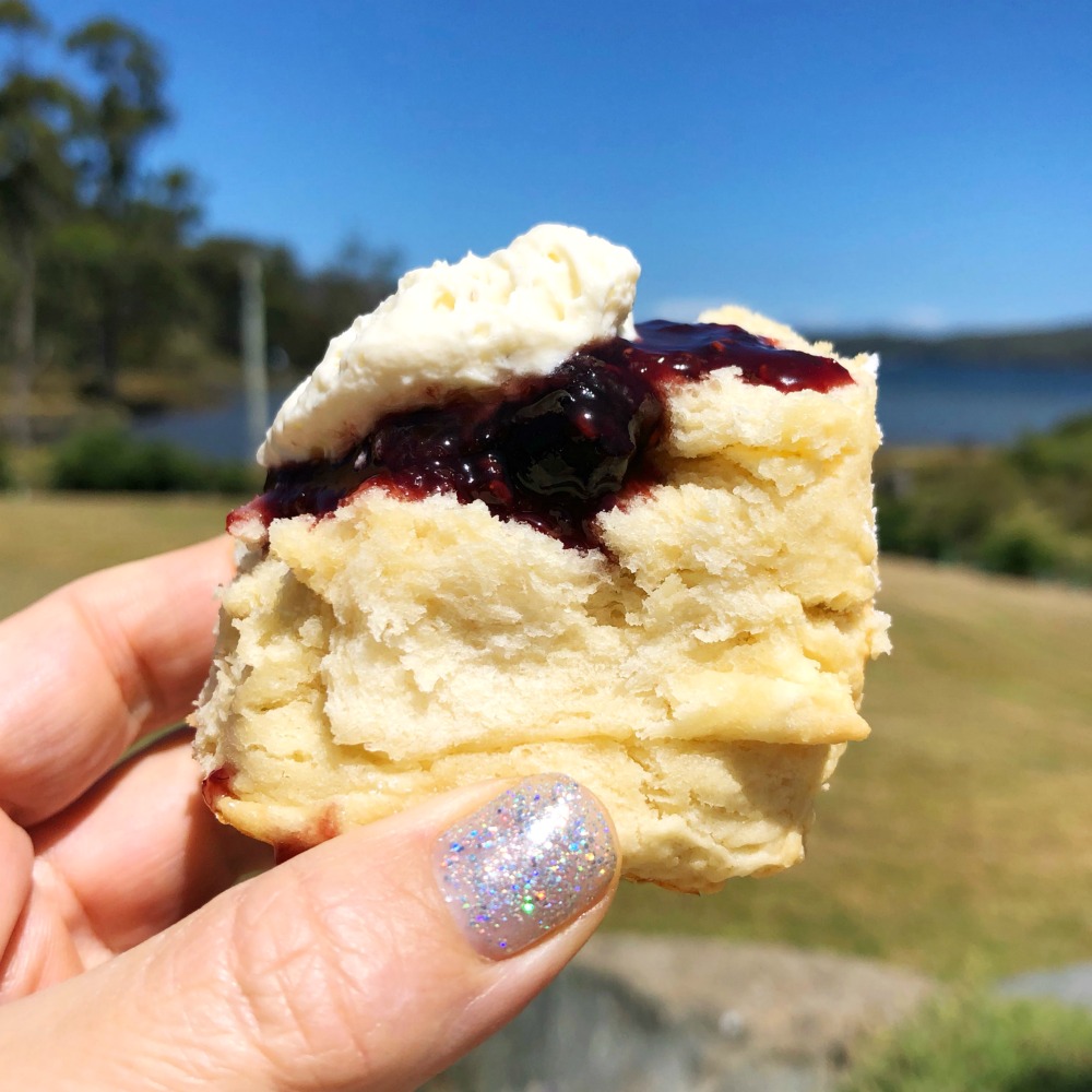 Touring with Let's Show You Tasmania Port Arthur Lavender scone