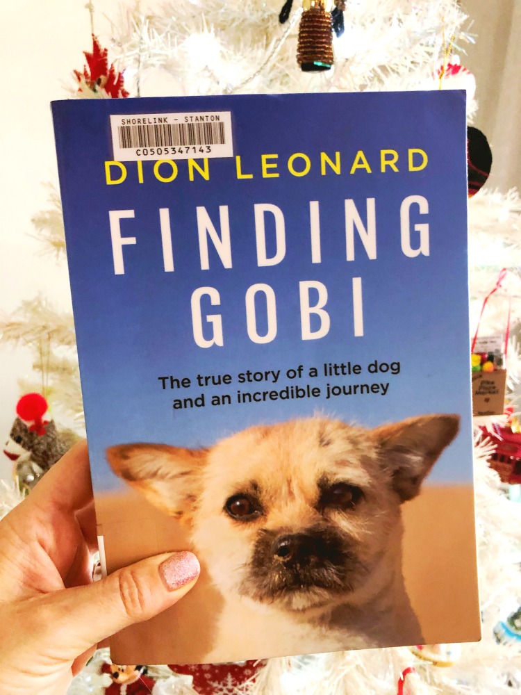 Finding Gobi