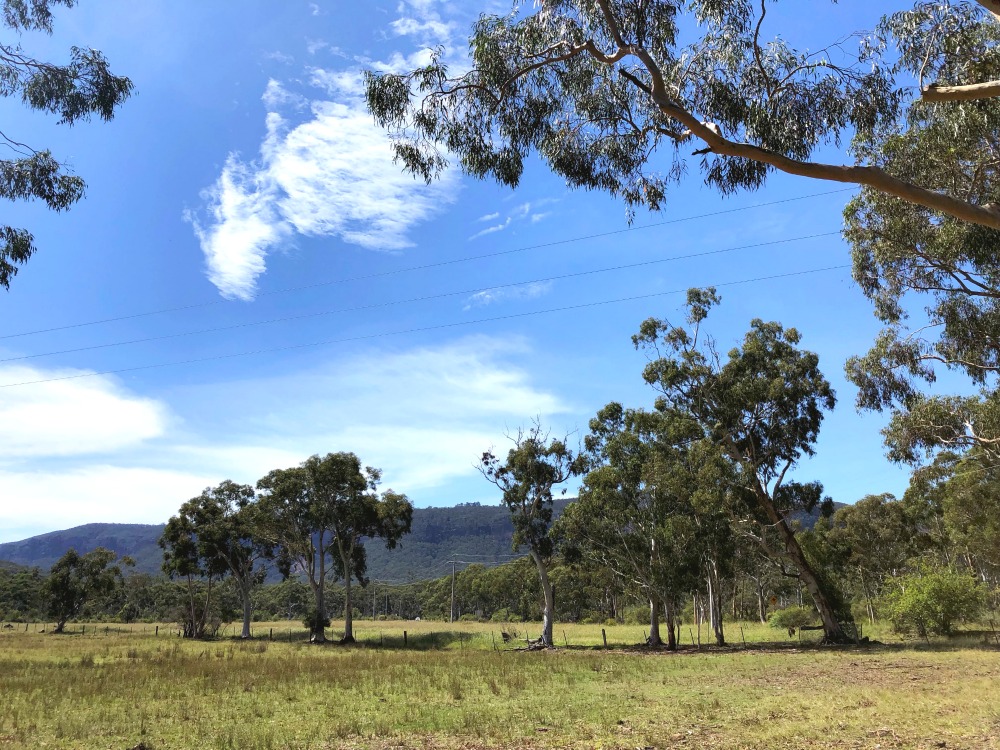 megalong valley tea rooms view