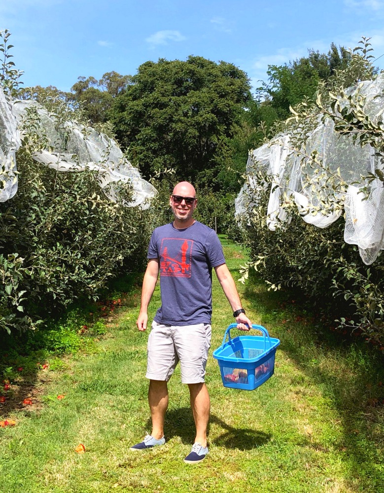 Apple picking shields Bilpin