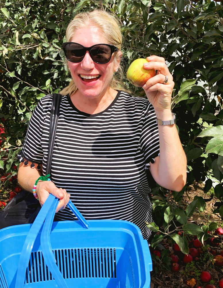 Apple picking shields Bilpin