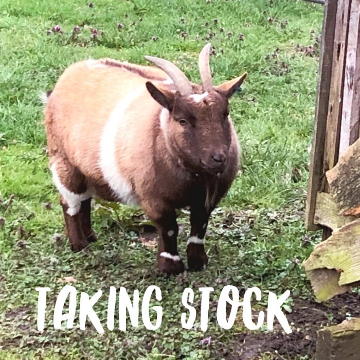 taking stock march 2019