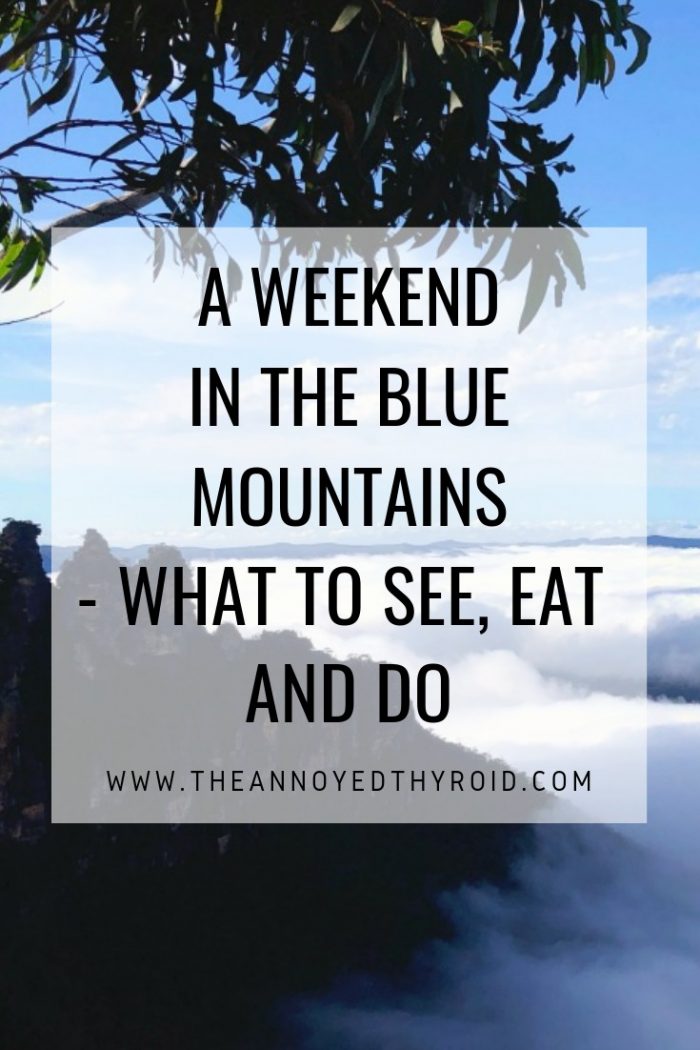 A-weekend-in-the-blue-mountains pin