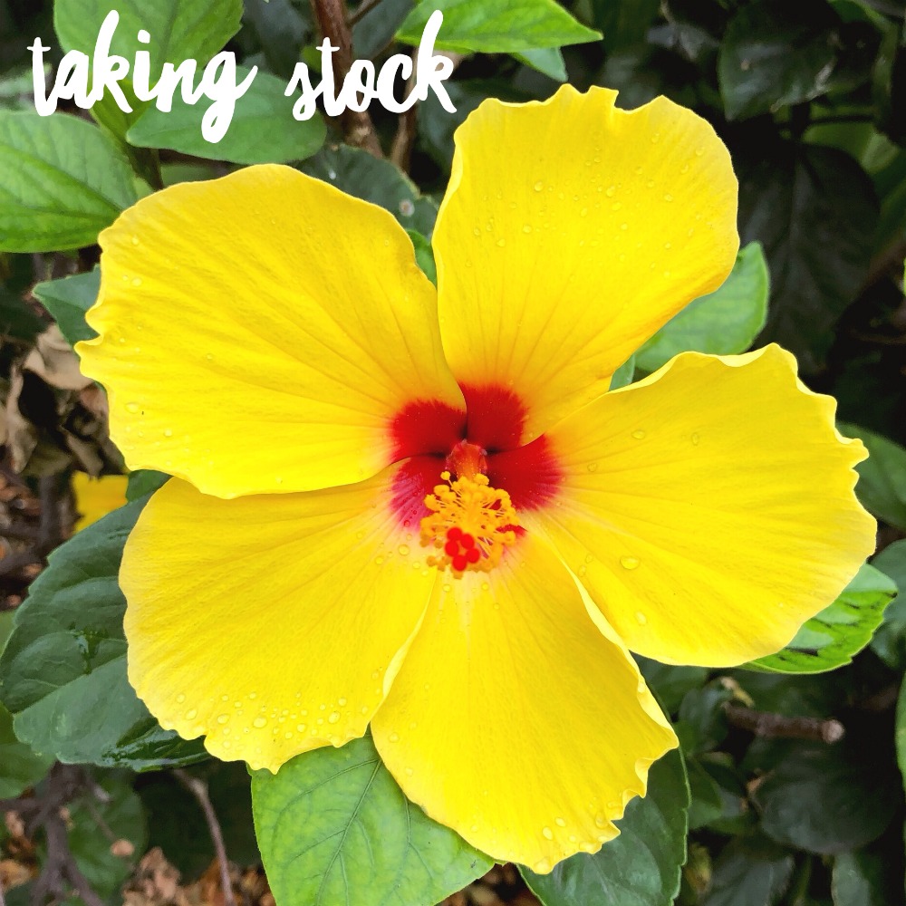 taking stock waikiki 2019