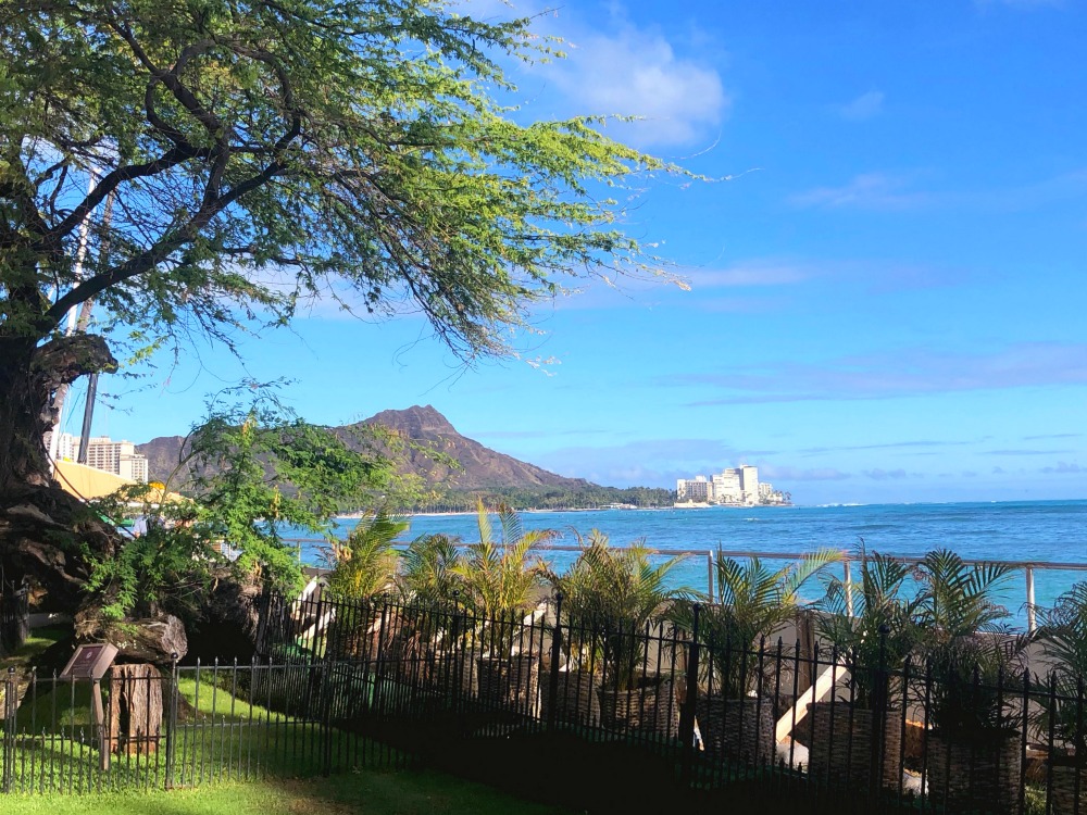 halekulani-afternoon-tea-view