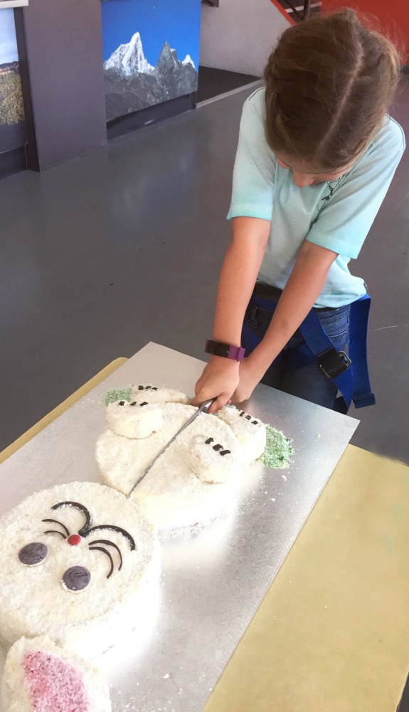 how-to-make-aww-bunny-cake-2