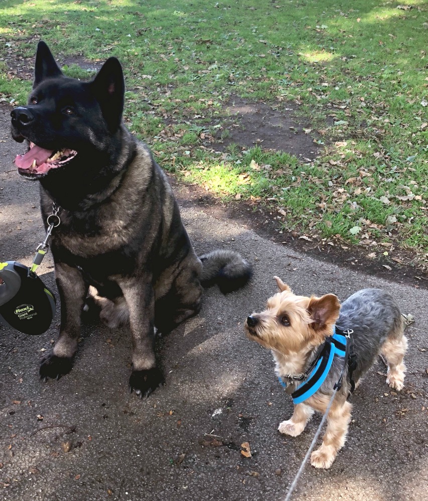 boultham park friends