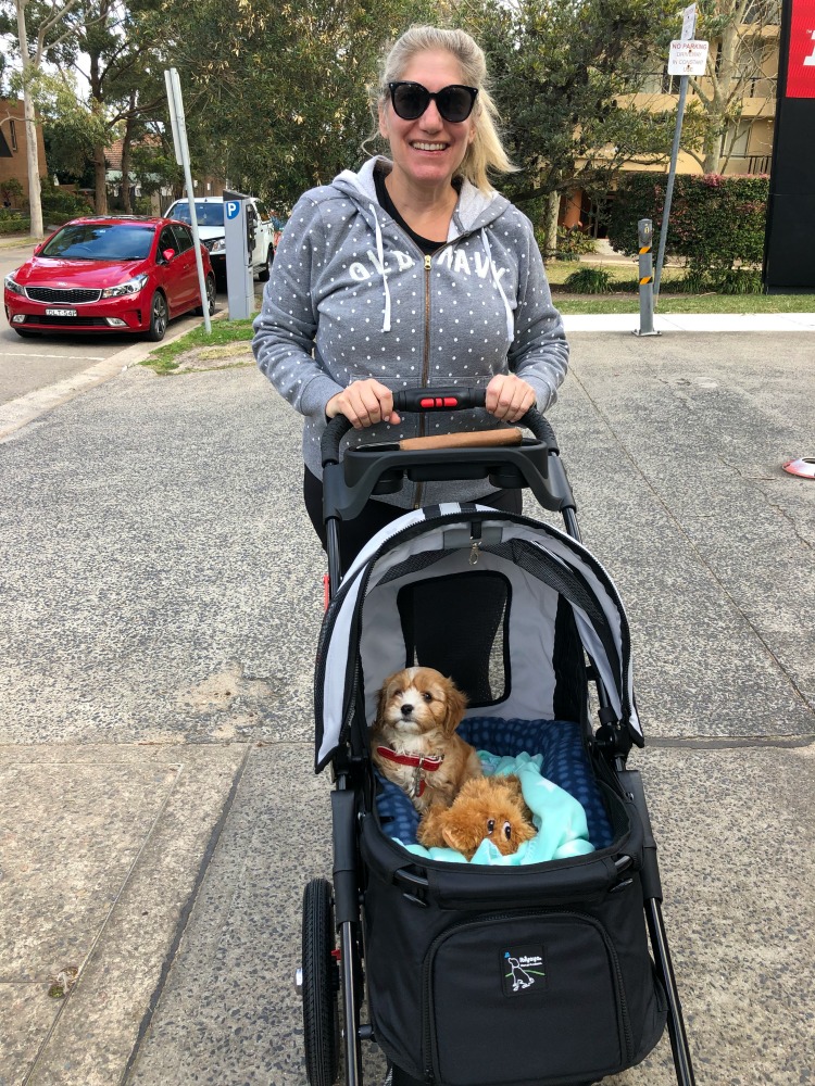 ibiyaya dog stroller