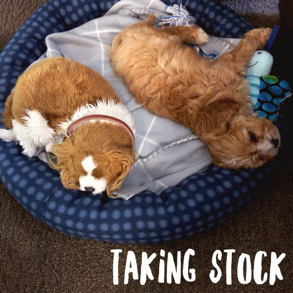 taking stock september 2019